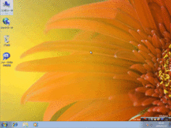 090113180206.gif