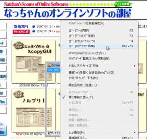 IEのキャプチャー